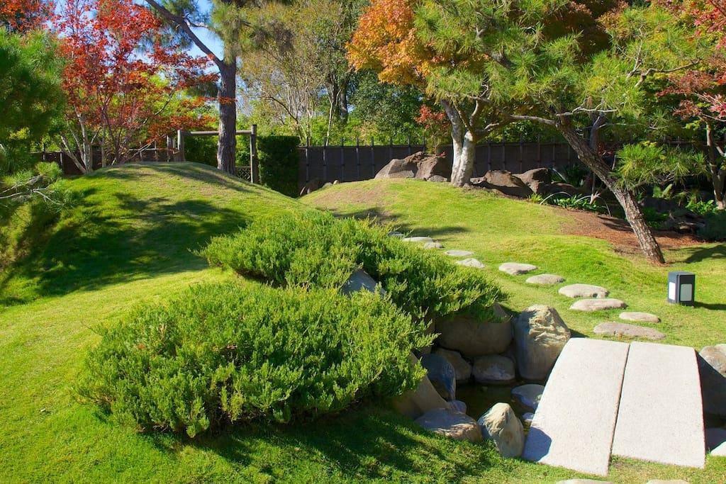 Beautiful Home At The Botanical Gardens San Antonio Exterior photo